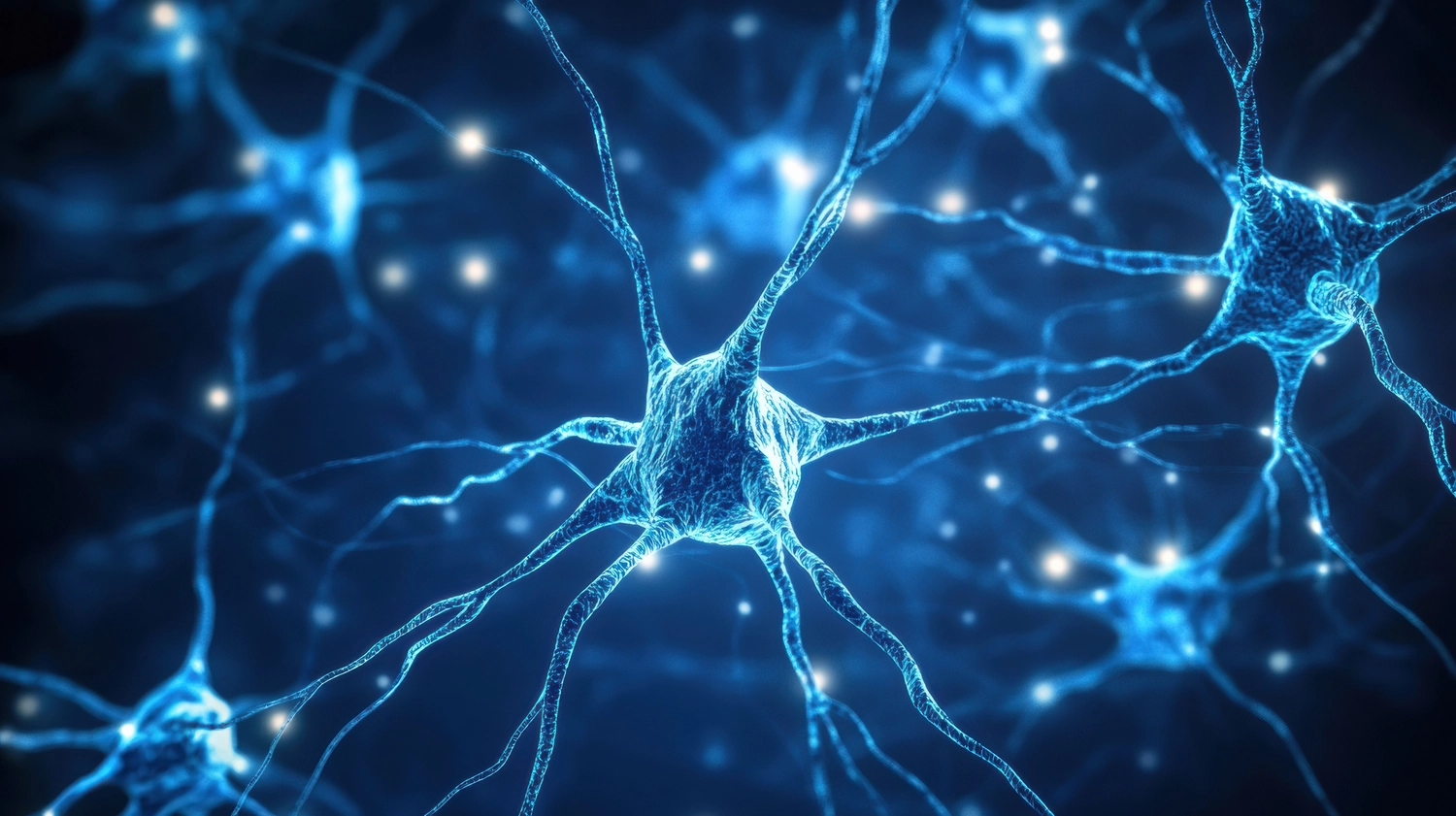 Fluency Edge - Neurolanguage Coach für Englisch und Deutsch - Untersuchung neuronaler Verbindungen in einer lebendigen digitalen Darstellung neurologischer Aktivität.